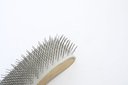 JOF_1426.webp
